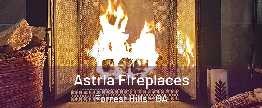 Astria Fireplaces Forrest Hills - GA