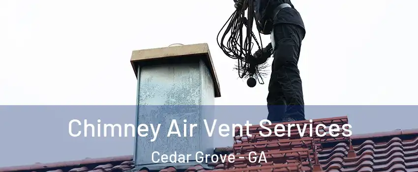 Chimney Air Vent Services Cedar Grove - GA