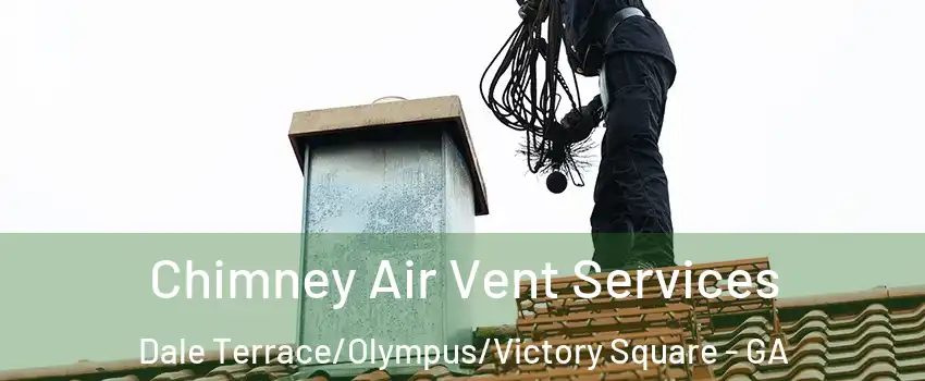 Chimney Air Vent Services Dale Terrace/Olympus/Victory Square - GA