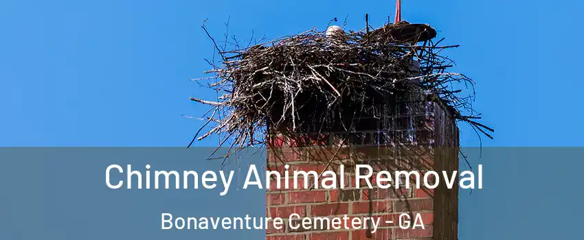 Chimney Animal Removal Bonaventure Cemetery - GA