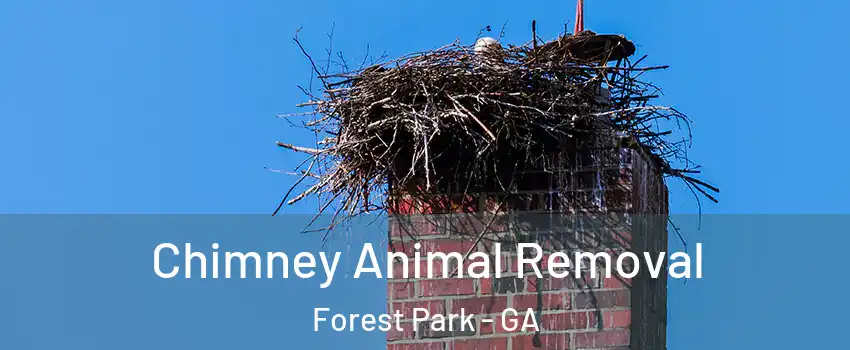 Chimney Animal Removal Forest Park - GA