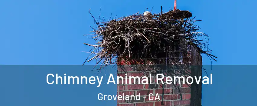 Chimney Animal Removal Groveland - GA