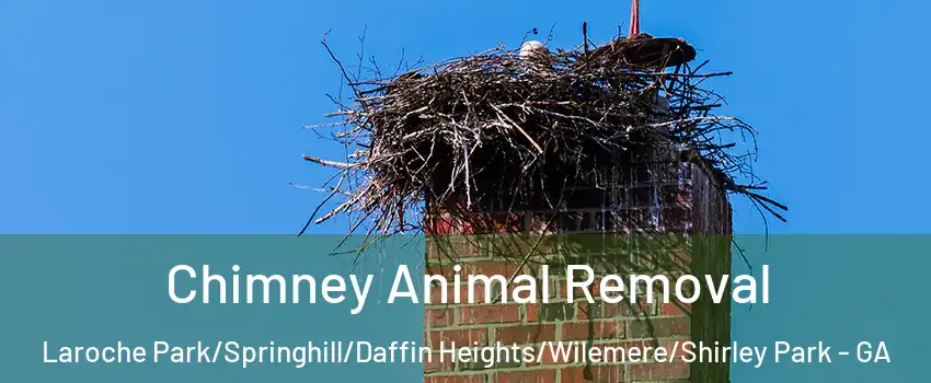 Chimney Animal Removal Laroche Park/Springhill/Daffin Heights/Wilemere/Shirley Park - GA