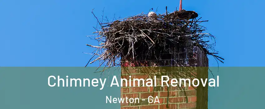 Chimney Animal Removal Newton - GA