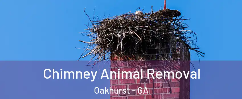 Chimney Animal Removal Oakhurst - GA