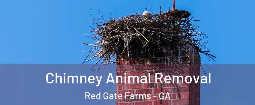 Chimney Animal Removal Red Gate Farms - GA