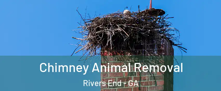 Chimney Animal Removal Rivers End - GA