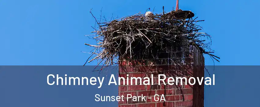 Chimney Animal Removal Sunset Park - GA