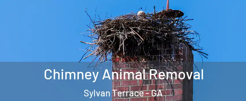 Chimney Animal Removal Sylvan Terrace - GA