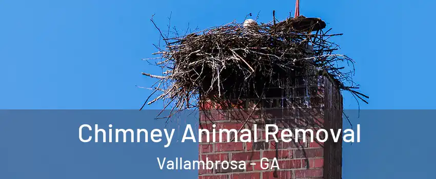 Chimney Animal Removal Vallambrosa - GA