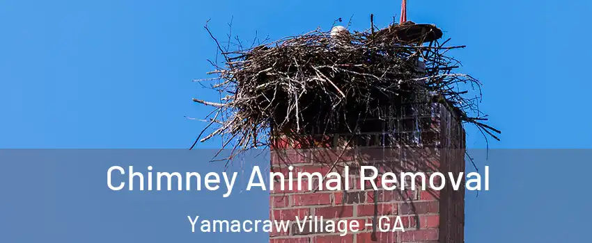 Chimney Animal Removal Yamacraw Village - GA