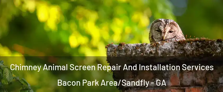 Chimney Animal Screen Repair And Installation Services Bacon Park Area/Sandfly - GA