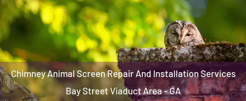 Chimney Animal Screen Repair And Installation Services Bay Street Viaduct Area - GA