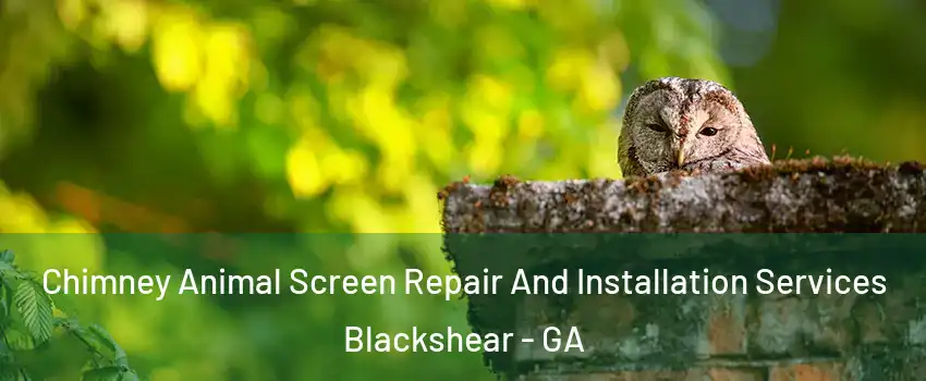 Chimney Animal Screen Repair And Installation Services Blackshear - GA