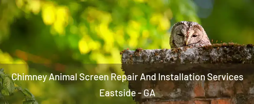 Chimney Animal Screen Repair And Installation Services Eastside - GA