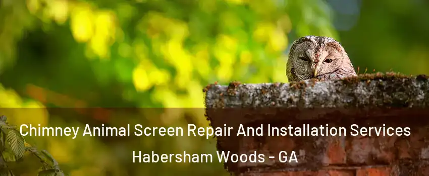 Chimney Animal Screen Repair And Installation Services Habersham Woods - GA