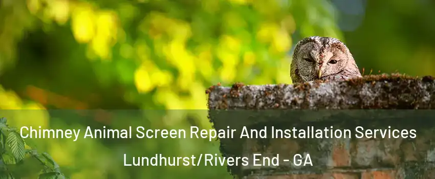 Chimney Animal Screen Repair And Installation Services Lundhurst/Rivers End - GA