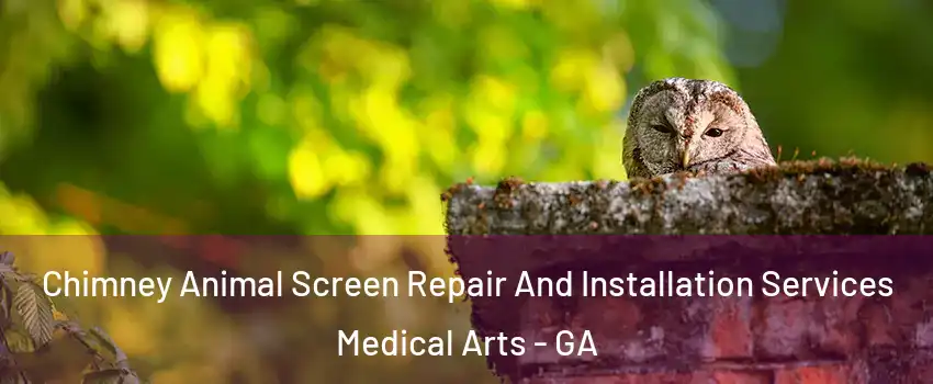 Chimney Animal Screen Repair And Installation Services Medical Arts - GA