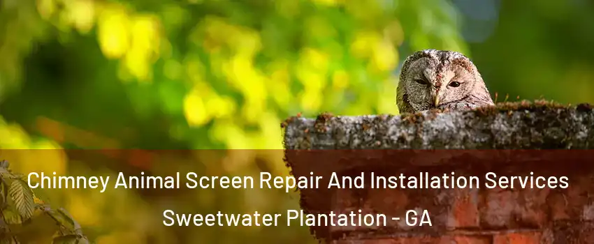 Chimney Animal Screen Repair And Installation Services Sweetwater Plantation - GA