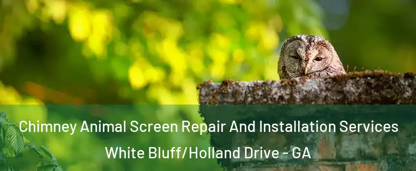 Chimney Animal Screen Repair And Installation Services White Bluff/Holland Drive - GA