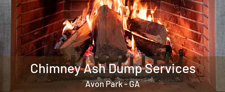 Chimney Ash Dump Services Avon Park - GA