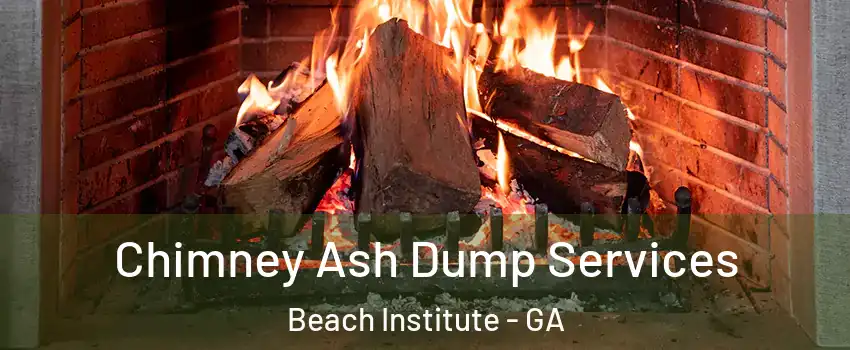 Chimney Ash Dump Services Beach Institute - GA