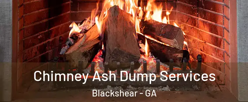 Chimney Ash Dump Services Blackshear - GA