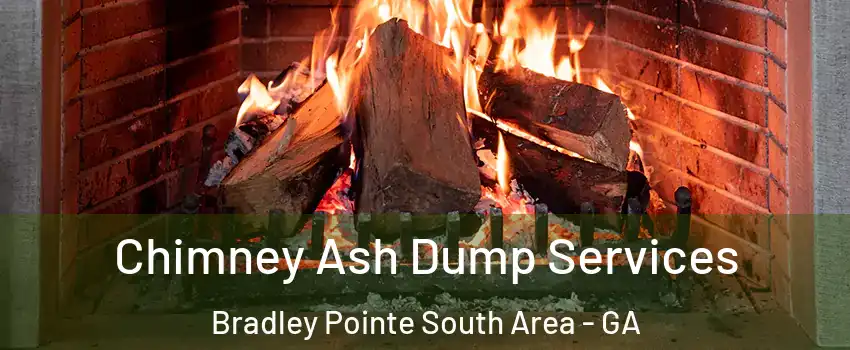 Chimney Ash Dump Services Bradley Pointe South Area - GA