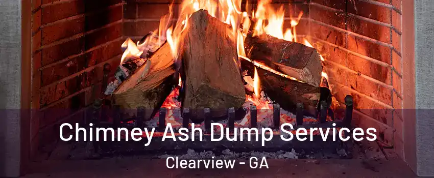 Chimney Ash Dump Services Clearview - GA