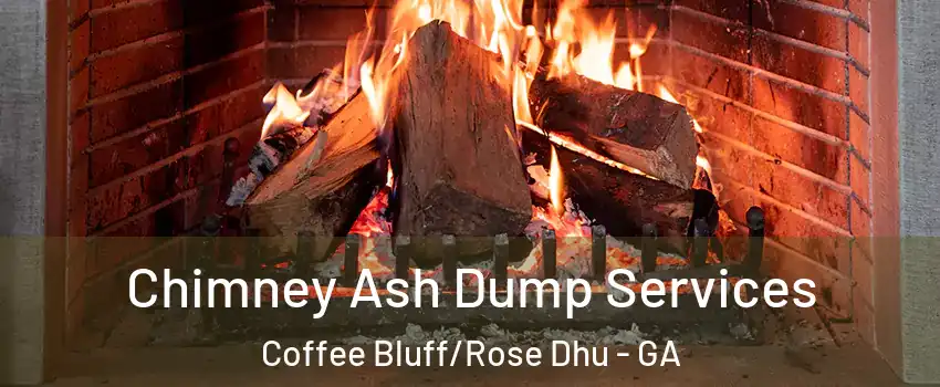 Chimney Ash Dump Services Coffee Bluff/Rose Dhu - GA