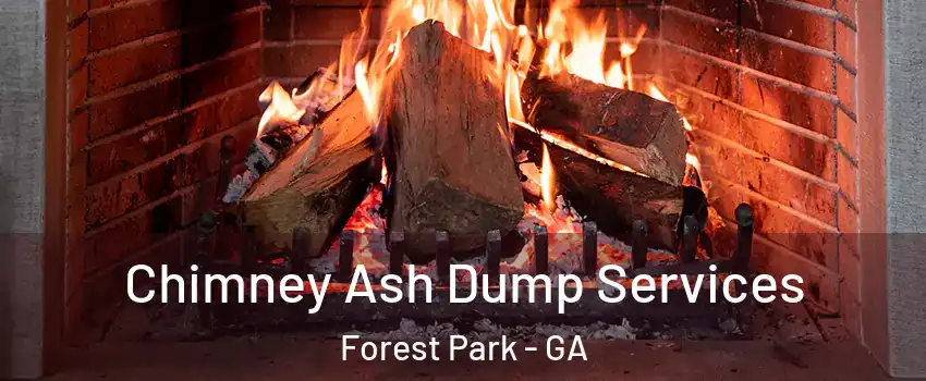 Chimney Ash Dump Services Forest Park - GA