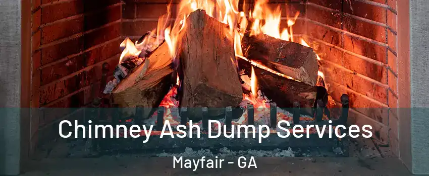 Chimney Ash Dump Services Mayfair - GA