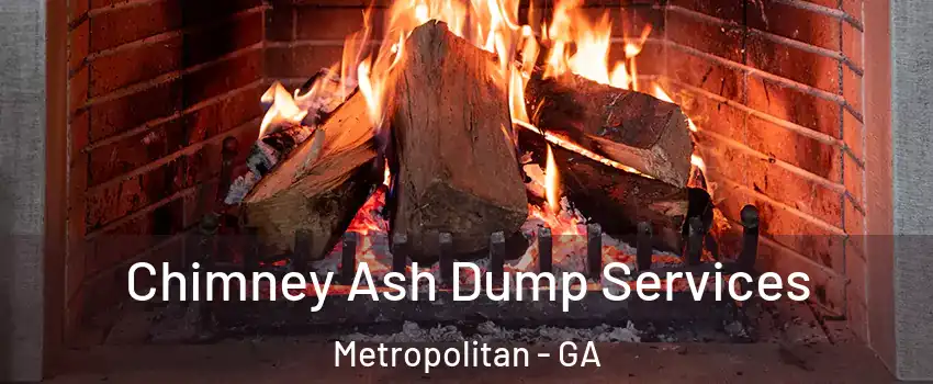 Chimney Ash Dump Services Metropolitan - GA