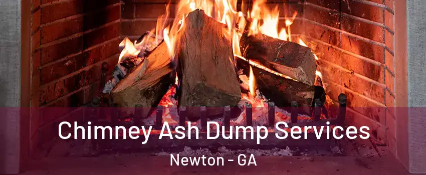 Chimney Ash Dump Services Newton - GA