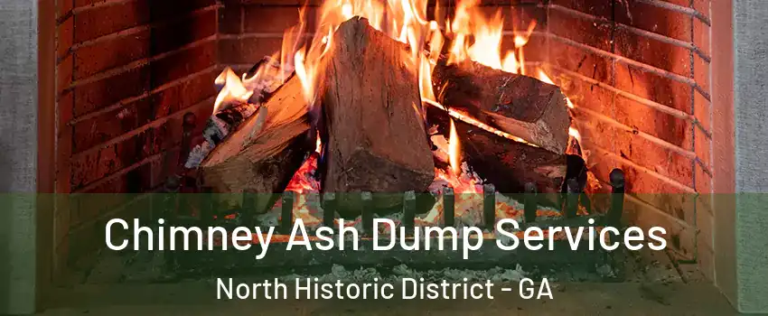 Chimney Ash Dump Services North Historic District - GA