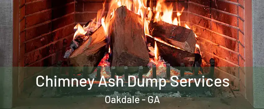 Chimney Ash Dump Services Oakdale - GA