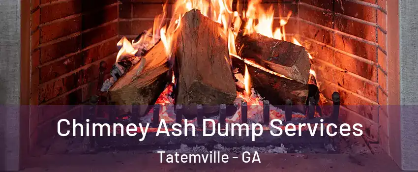 Chimney Ash Dump Services Tatemville - GA