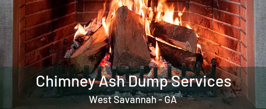 Chimney Ash Dump Services West Savannah - GA