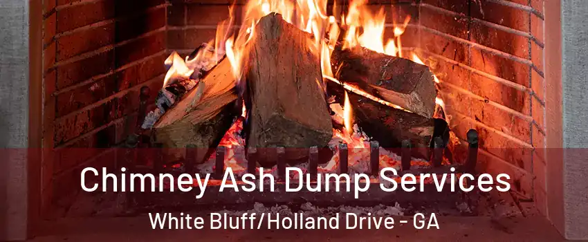 Chimney Ash Dump Services White Bluff/Holland Drive - GA