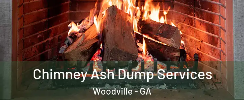 Chimney Ash Dump Services Woodville - GA