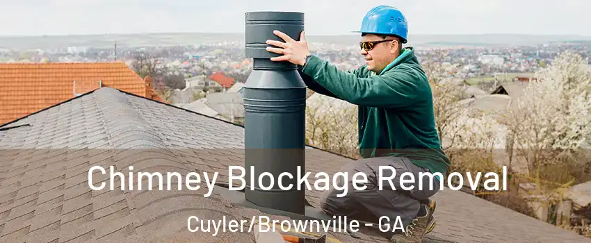 Chimney Blockage Removal Cuyler/Brownville - GA