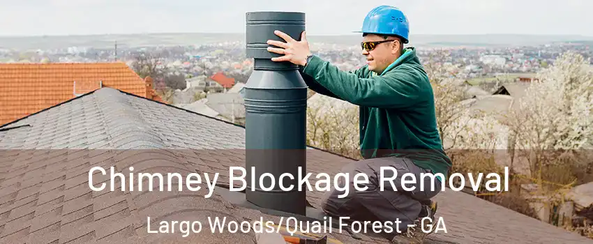 Chimney Blockage Removal Largo Woods/Quail Forest - GA