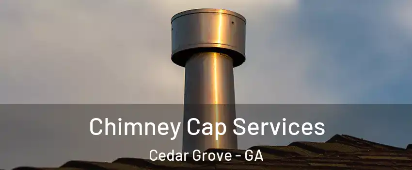 Chimney Cap Services Cedar Grove - GA