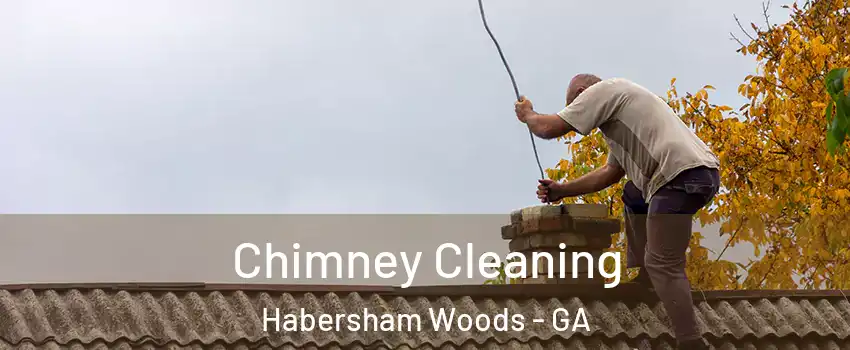 Chimney Cleaning Habersham Woods - GA