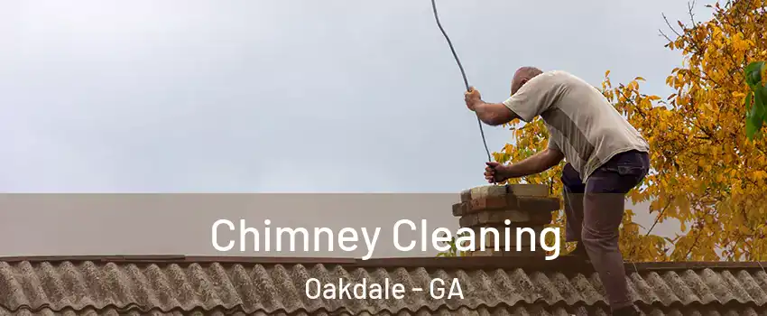 Chimney Cleaning Oakdale - GA