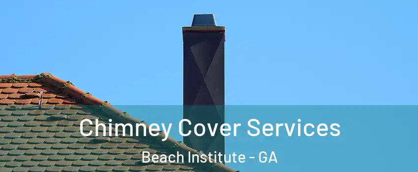 Chimney Cover Services Beach Institute - GA