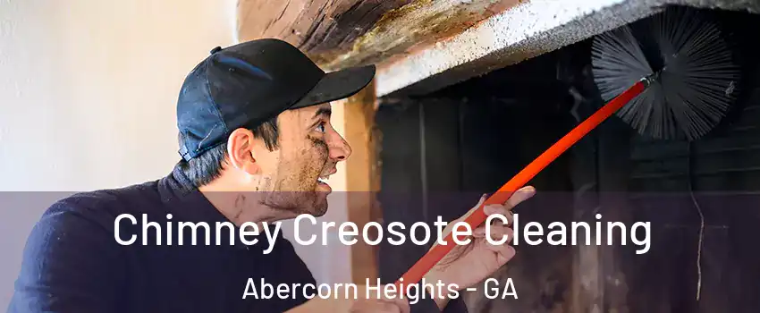 Chimney Creosote Cleaning Abercorn Heights - GA