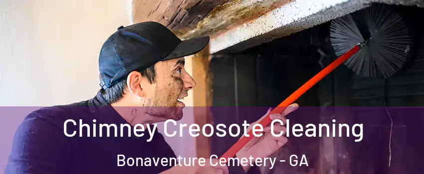 Chimney Creosote Cleaning Bonaventure Cemetery - GA