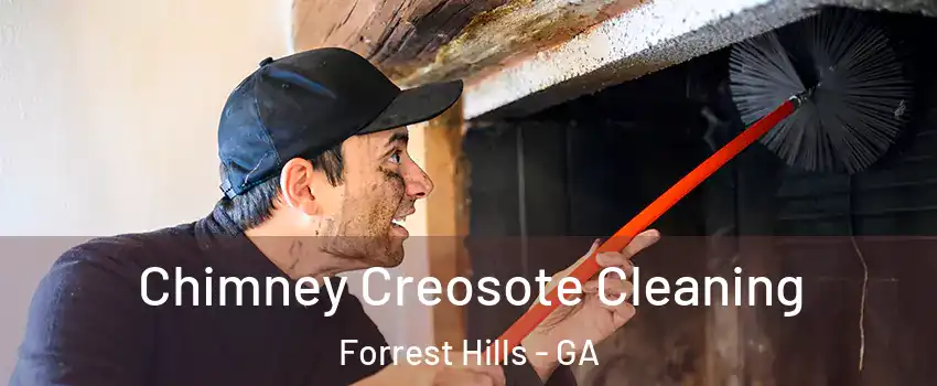 Chimney Creosote Cleaning Forrest Hills - GA