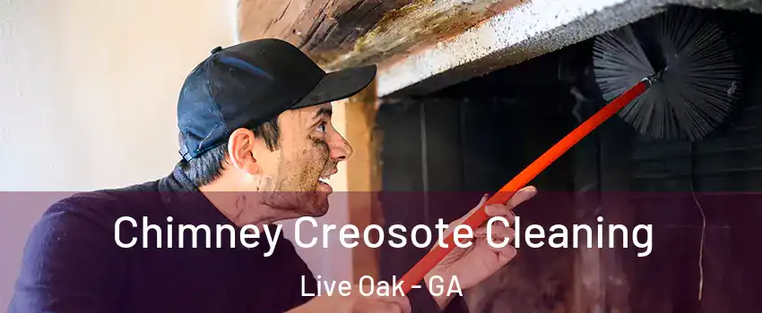 Chimney Creosote Cleaning Live Oak - GA